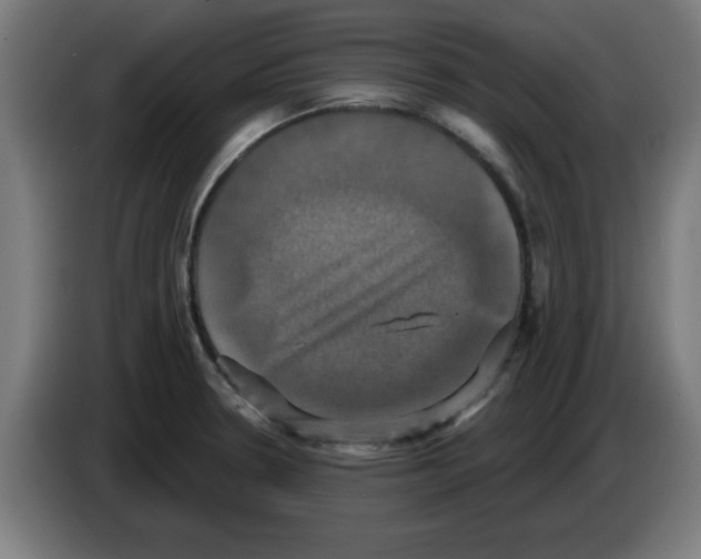 X0000086221330200704261828