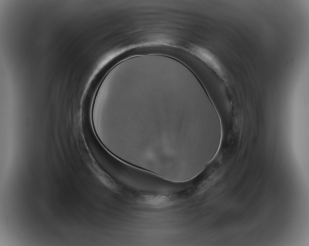 X0000086221332200704261828