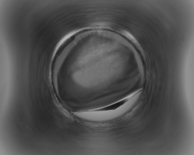 X0000086221336200704261828