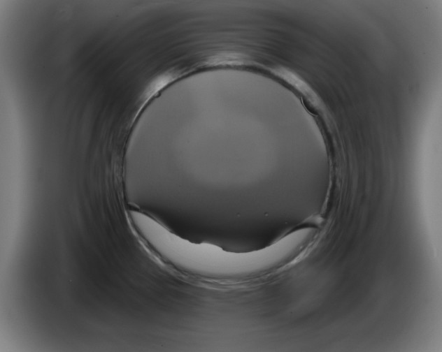 X0000086221337200704261828