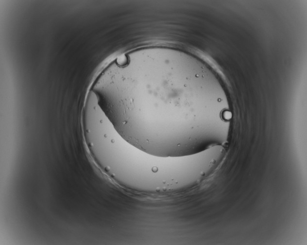 X0000086221338200704261829