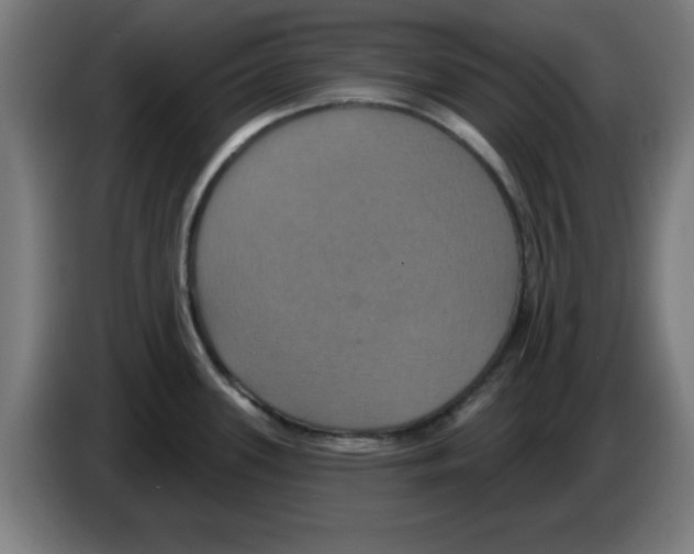 X0000086221339200704261829