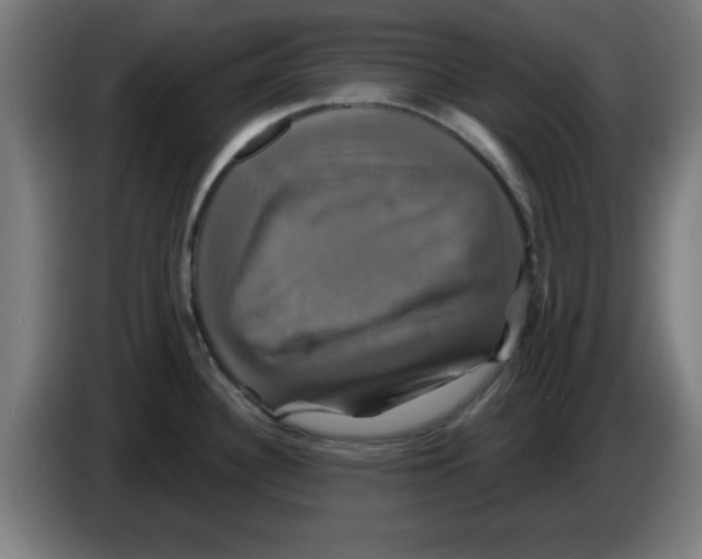 X0000086221340200704261829