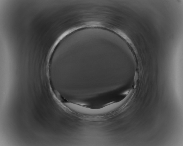 X0000086221342200704261829