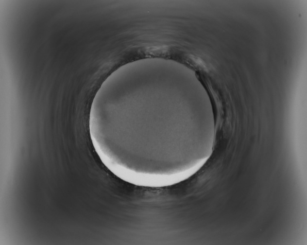 X0000086221345200704261828