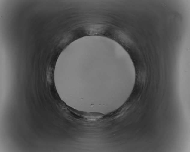 X0000086221346200704261828