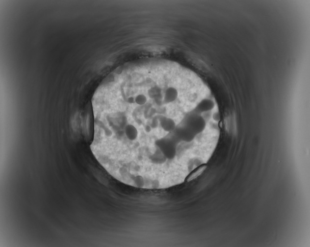 X0000086221347200704261828