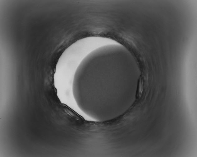 X0000086221349200704261828