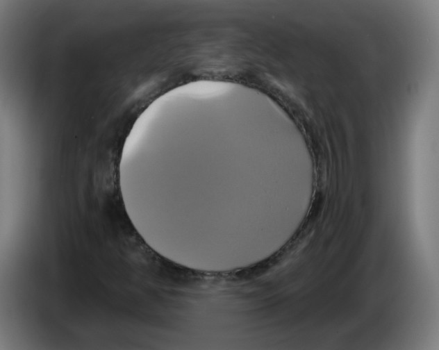 X0000086221350200704261828