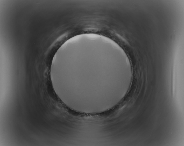 X0000086221351200704261828