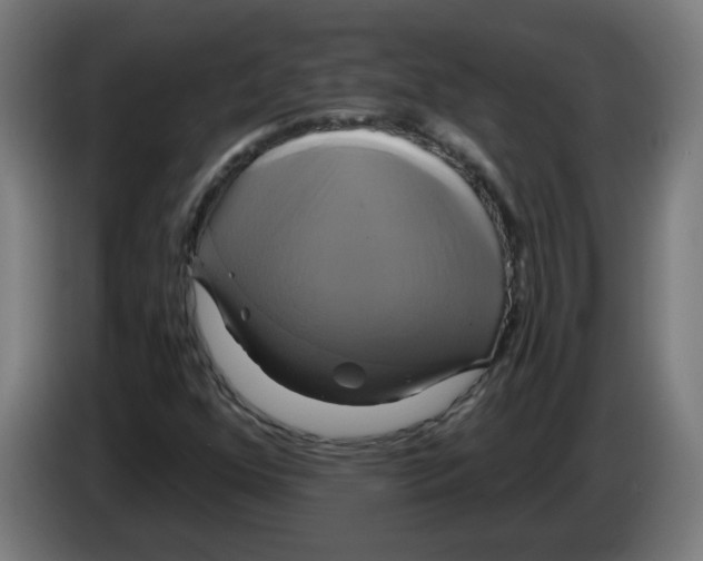 X0000086221352200704261828