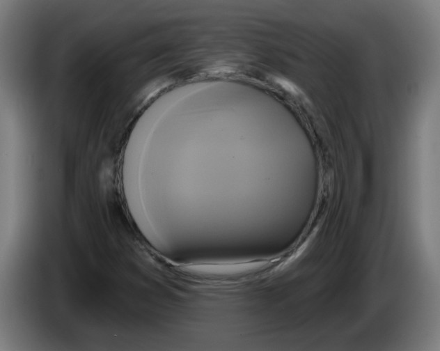 X0000086221353200704261828