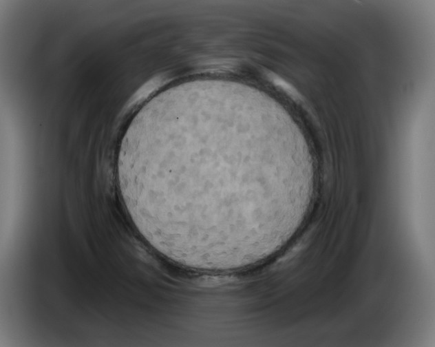 X0000086221354200704261828