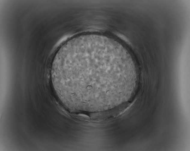 X0000086221355200704261828