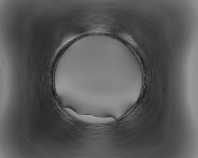 X0000086221356200704261828