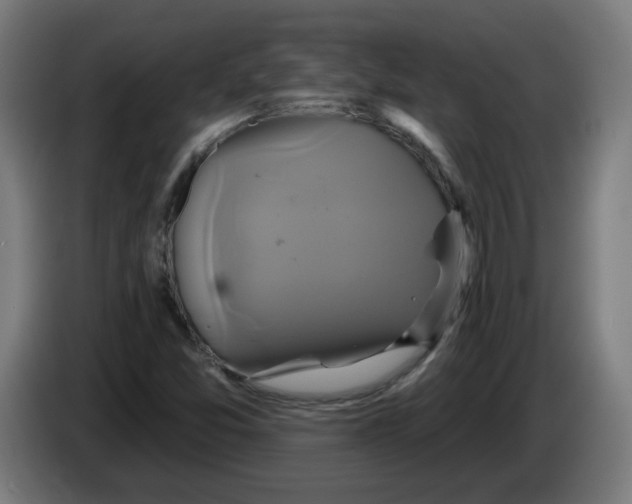 X0000086221357200704261828