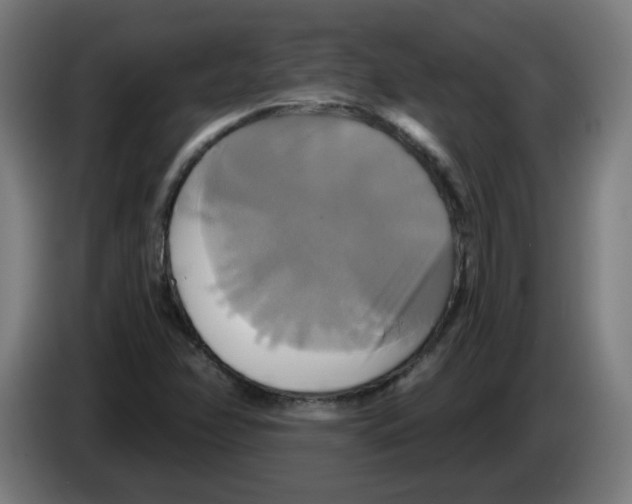 X0000086221358200704261828