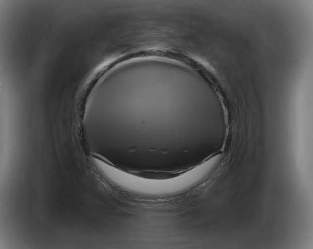 X0000086221359200704261828