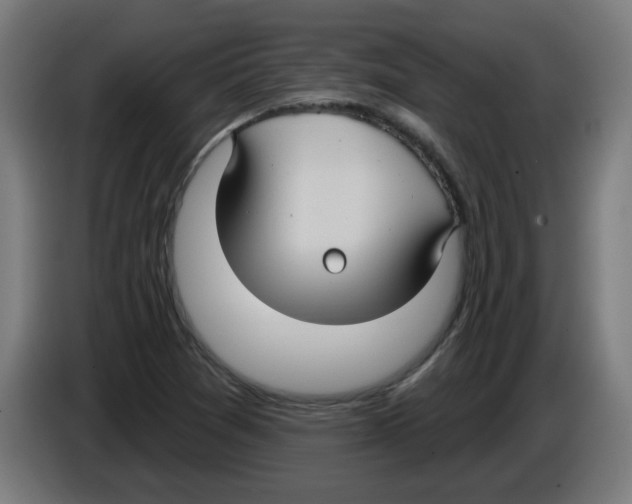 X0000086221361200704261828