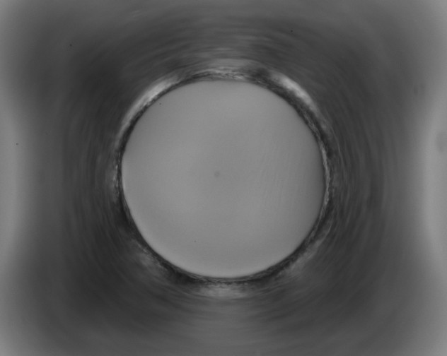 X0000086221362200704261828