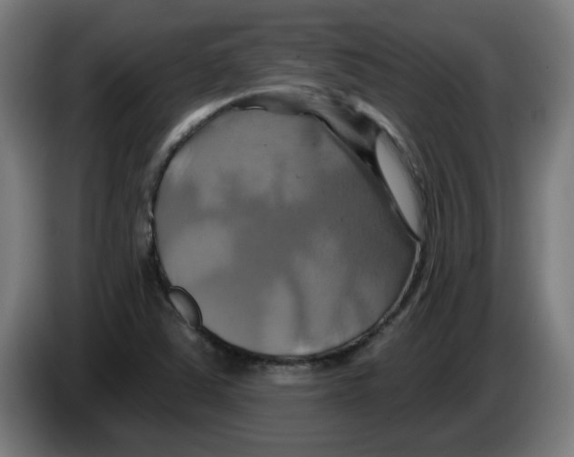 X0000086221363200704261828