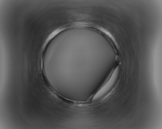 X0000086221365200704261828