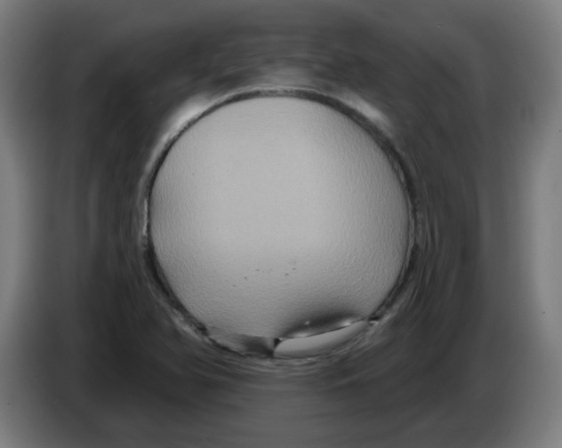 X0000086221366200704261828