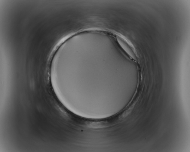 X0000086221367200704261828