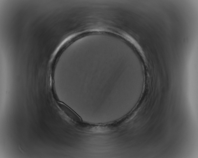 X0000086221368200704261828