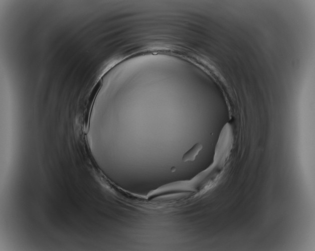 X0000086221369200704261828