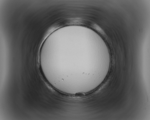 X0000086221370200704261828