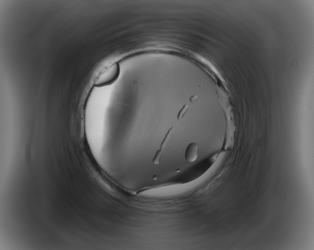 X0000086221371200704261828