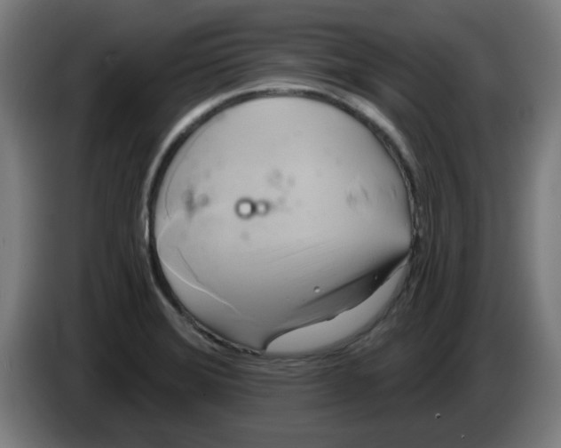 X0000086221372200704261828