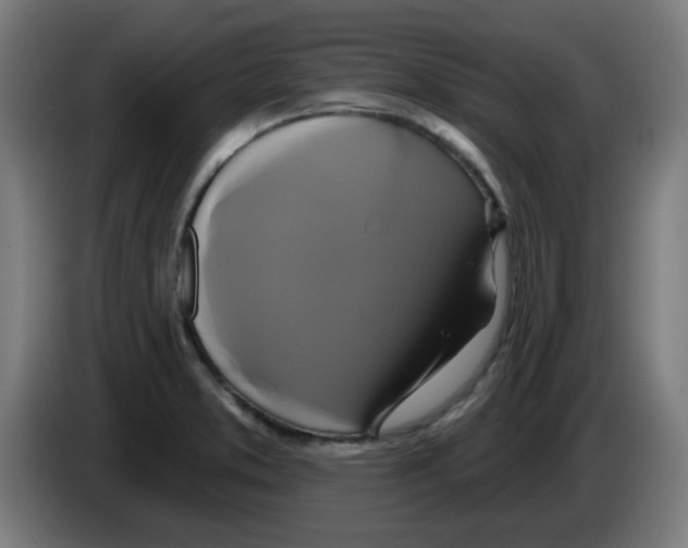 X0000086221373200704261828