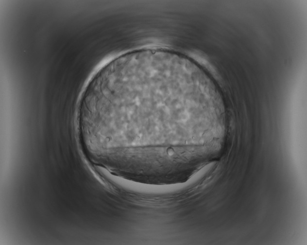 X0000086221375200704261828