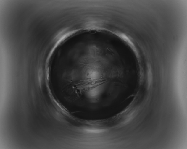 X0000086221376200704261828