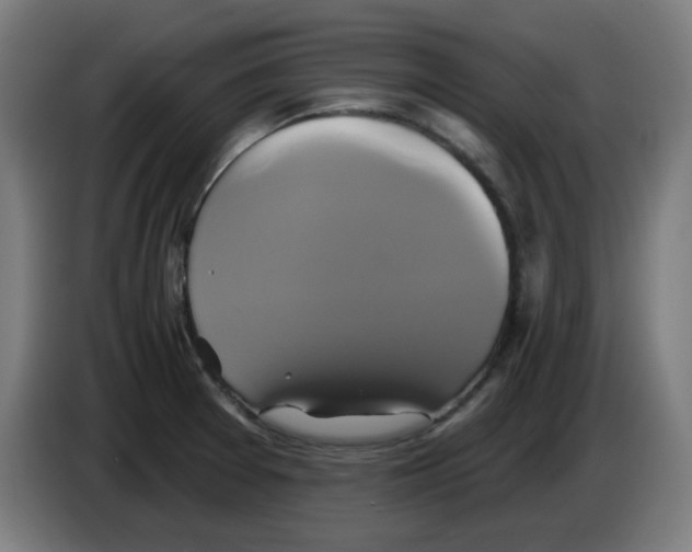 X0000086221377200704261828