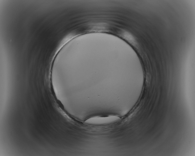 X0000086221378200704261828