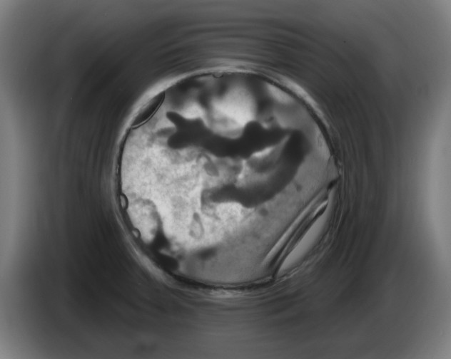 X0000086221379200704261828