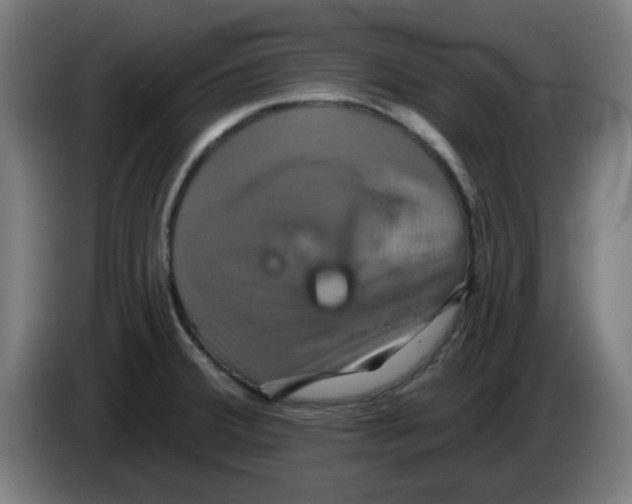 X0000086221380200704261828