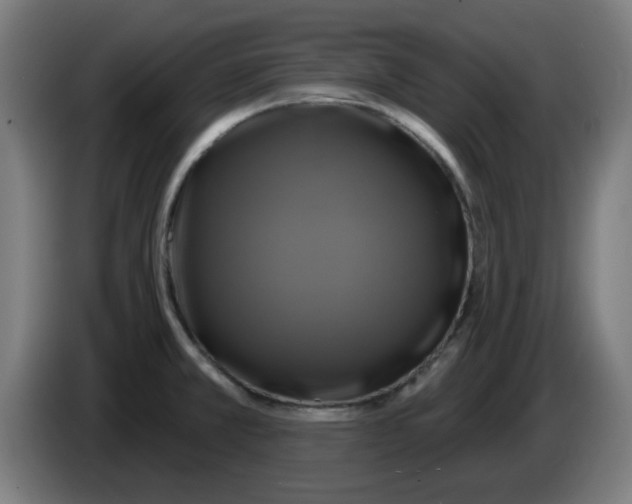 X0000086221381200704261828