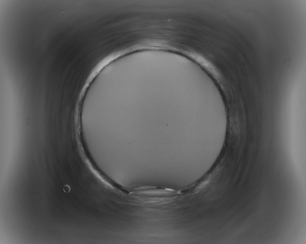 X0000086221382200704261827