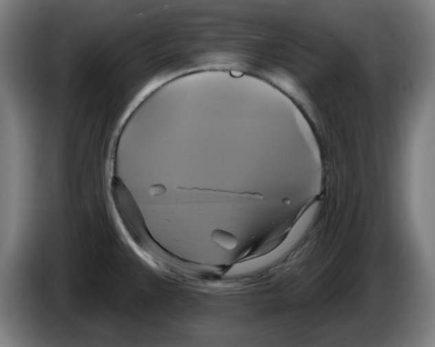 X0000086221383200704261827