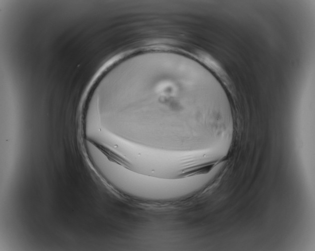 X0000086221384200704261827