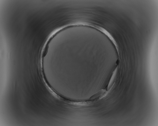 X0000086221388200704261827