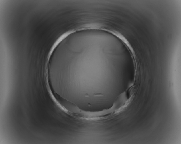 X0000086221389200704261827