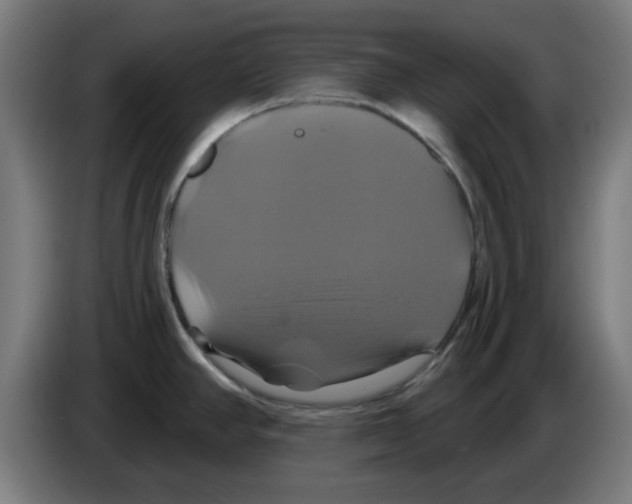 X0000086221390200704261827