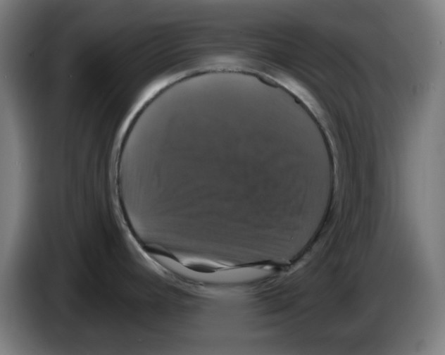 X0000086221392200704261827