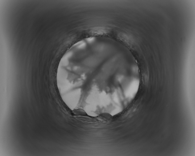 X0000086221393200704261827