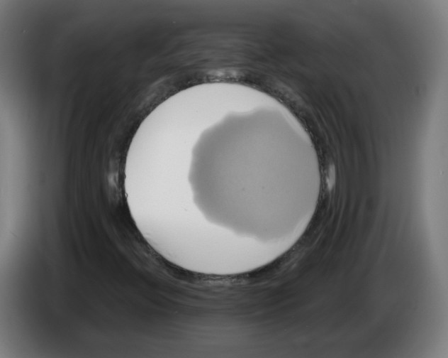 X0000086221396200704261827